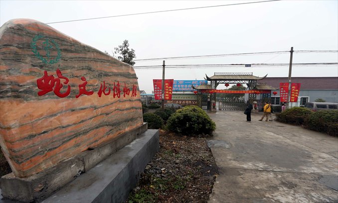 The village of Zisiqiao's flagship snake museum. Photo: GT/Yang Hui