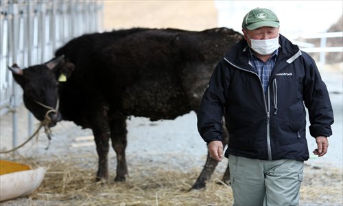 A farmer with his cow at Iitate, a major Kobe beef production region in Japan, in April, 2011. Photo: CFP