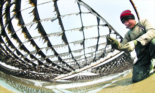A fisherman collects seaweed Sunday in a coastal area of Lianyungang, East China's Jiangsu Province. The local seaweed cultivation sector has seen rapid growth over the past few years, generating rising income for local fishermen. Photo: CFP