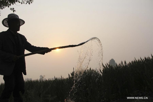 A farmer waters the wheat field in Chengguan Township of Neihuang County in Anyang City, central China's Henan Province, May 3, 2013. Farmers here are busy with taking care of the crop to ensure the summer wheat harvest. (Xinhua/Liu Xiaokun) 