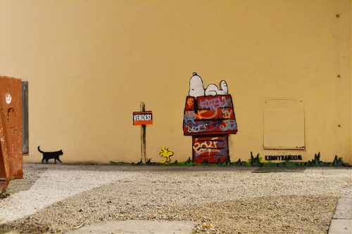  （Source: photo.huanqiu.com）