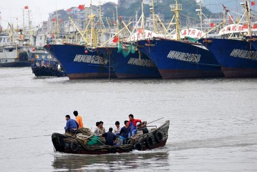 Fishermen leave their boats anchored for the bank in Shitang Port, Wenling city, East China's Zhejiang Province, September 15, 2012. According to forecast by the Zhejiang Meteorological Center, typhoon Sanba, the 16th typhoon seen this year, approaches waters of the eastern part of the East China Sea on Saturday. Residents of the country's coastal regions were urged be well-prepared for possible typhoon effects and take precautions against wind, moisture and strong rainfall. Photo: Xinhua