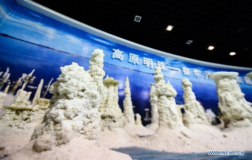 Photo taken on March 15, 2013 shows salt crystals displayed at the Qarhan Salt Lake Museum in Golmud, northwest China's Qinghai Province. The Qarhan salt lake, with a total area of 5,856 square kilometers, is the largest salt lake in China. The lake's abundant deposit of halide salts makes it a major mineral center. (Xinhua/Wu Gang) 