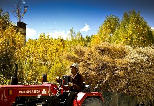 Photo taken on October 1, 2012 shows the Baiqoi Monastery in Gyangze, Southwest China's Tibet Autonomous Region. Photo: Xinhua