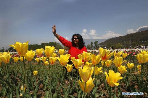  A female tourist waves her hand at a tulip garden in Srinagar, summer capital of Indian-controlled Kashmir, April 13, 2013. The Tulip Garden in Indian-controlled Kashmir, claimed to be Asia's largest, has become the prime attraction for tourists home and abroad. Since April this year, over 75,000 tourists have visited the garden to see tulips, officials said. (Xinhua/Javed Dar) 