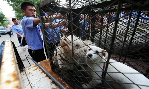 Law enforcement officers in Jinan, Shandong Province, lock stray dogs in a cage on Tuesday in a campaign aimed to prevent those animals meandering in the street from disturbing residents. The campaign, which will last till the end of September, is launched after rising residents' reports on stray dogs. Photo: CFP