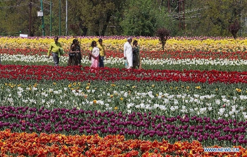  Tourists stroll along the beds of tulips at a tulip garden in Srinagar, summer capital of Indian-controlled Kashmir, April 13, 2013. The Tulip Garden in Indian-controlled Kashmir, claimed to be Asia's largest, has become the prime attraction for tourists home and abroad. Since April this year, over 75,000 tourists have visited the garden to see tulips, officials said. (Xinhua/Javed Dar) 