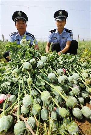 Police officers in Huaibei, Anhui Province, show illegal poppy plants wiped out from a local vineyard on Monday. Over 260 such plants were found by police during their patrols and the residents who were responsible for them were punished. Photo: CFP