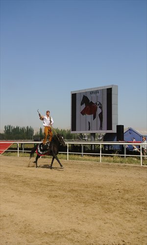 Horseback riding competition 