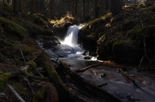 Photo taken on October 9, 2012 shows an autumn scenery of the Pangquangou state forest park in Jiaocheng County, North China's Shanxi Province. Photo: Xinhua