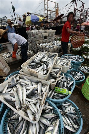 Fishermen pile up their catch from the sea at a port in Sanya, Hainan Province on Thursday, when the summer fishing moratorium in the South China Sea began. The moratorium, now in its 15th consecutive year, will end on August 1, affecting some 34,000 fishermen. Photo: CFP