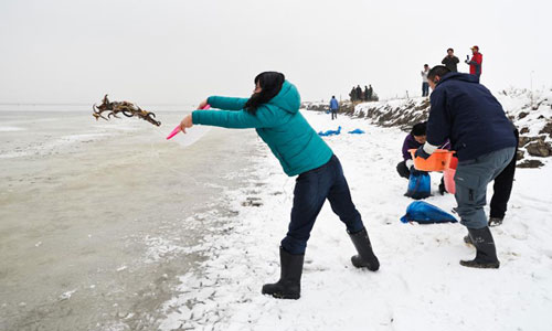 Working staff and volunteers put out food for white storks at a wetland in Tianjin, north China, December 15, 2012. Photo:Xinhua 