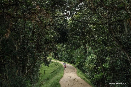 A tourist visits the San Agustin Archaeological Park in Huila, Colombia, on March 31, 2013. San Agustin Archaeological Park is located in the southern Colombian Department of Huila, which will celebrate its centenary and being denominated as World Cultural Heritage in 1995 by United Nations Educational, Scientific and Cultural Organization (UNESCO) this year. (Xinhua/Jhon Paz)