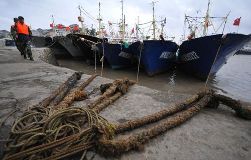Fishing boats are anchored in Shitang Port, Wenling city, East China's Zhejiang Province, September 15, 2012. According to forecast by the Zhejiang Meteorological Center, typhoon Sanba, the 16th typhoon seen this year, approaches waters of the eastern part of the East China Sea on Saturday. Residents of the country's coastal regions were urged be well-prepared for possible typhoon effects and take precautions against wind, moisture and strong rainfall. Photo: Xinhua