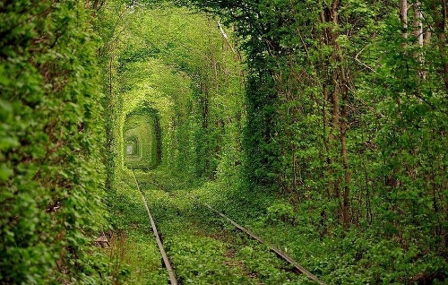 (Photo Source: photo.huanqiu.com)