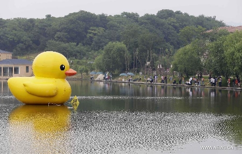 Photo taken on June 1, 2013 shows a mini rubber duck floating on a lake in the Hannan District of Wuhan, capital of central China's Hubei Province. The duck, made by a property company, is a mini copy of the huge rubber duck which appeared in Hong Kong, south China, on May 2. (Xinhua)&nbsp; 