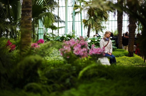 Residents and tourists visit the Royal Greenhouse of Laeken in the royal garden in Brussels, capital of Belgium, May 10, 2013. The Belgian royal family opens its greenhouses in the royal garden with wide variety of flowers to the public for three weeks every year. (Xinhua/Zhou Lei) 
