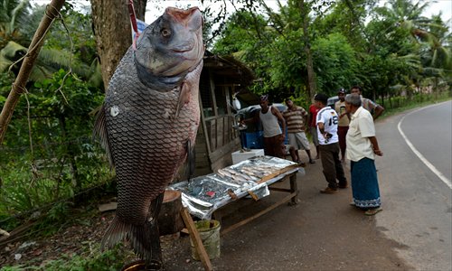 A Sri Lankan vendor sells fish at his stall in Wattala, Sri Lanka on Saturday. After crushing Tamil rebels four years ago Sri Lanka expected to become South Asia's tiger economy, but exuberance has given way to mediocre growth and fears of more trouble ahead. Sri Lanka's GDP grew 6.8 percent in the second quarter of 2013, according to Sri Lanka's Census and Statistics Department on Friday. Photo: AFP