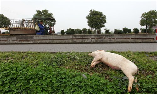 A dead pig lies on the roadside Monday in Xinfeng town, Nanhu district, Jiaxing, Zhejiang Province. Pig carcasses were found randomly thrown into the bushes in the area. 