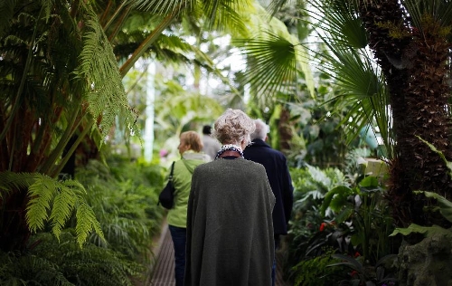 Residents and tourists visit the Royal Greenhouse of Laeken in the royal garden in Brussels, capital of Belgium, May 10, 2013. The Belgian royal family opens its greenhouses in the royal garden with wide variety of flowers to the public for three weeks every year. (Xinhua/Zhou Lei) 