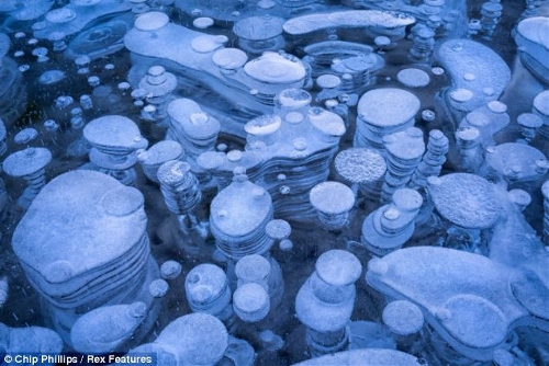 These stunning images show hundreds of frozen bubbles trapped below Canada's Abraham Lake. Located at the foot of the Rocky Mountains, the rare phenomenon occurs each winter in the man-made lake.&nbsp; (Source: chinanews.com)