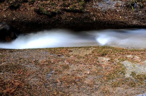Photo taken on October 9, 2012 shows an autumn scenery of the Pangquangou state forest park in Jiaocheng County, North China's Shanxi Province. Photo: Xinhua