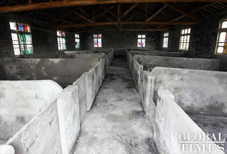 New pigpens keep on being built although the price for pigs is decreasing. Photo: Yang Hui / GT