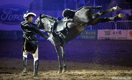 A horseman stages an equestrian performance at the opening ceremony of the second Ordos Dalate International Horse Culture Festival in Dalate Banner of Ordos, north China's Inner Mongolia Autonomous Region, August 25, 2012. Some 60 horsemen from 15 countries and regions gave performances at the festival's opening ceremony Saturday night. Photo: Xinhua