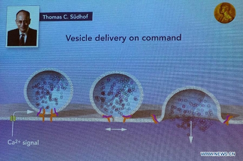during   press conference at karolinska institutet in stockholm