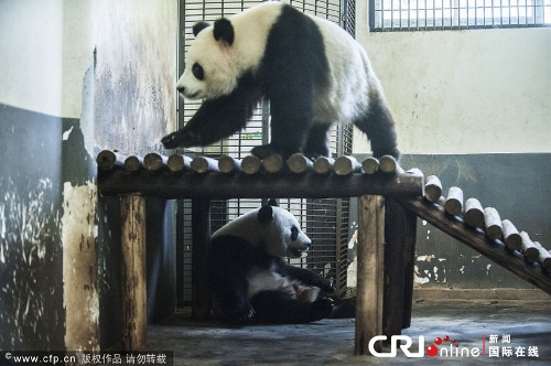 (Photo source: Crienglish.com/Chinanews)