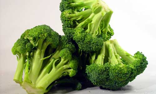 BROCCOLI FROM CHINA FACTORY