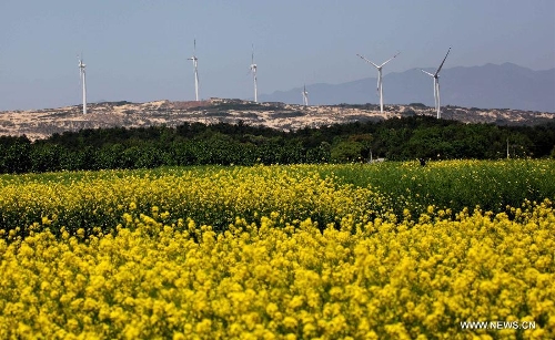 Photo taken on April 7, 2013 shows the Bijiashan Wind Power Plant beside the Poyang Lake in Jiujiang City, east China's Jiangxi Province. The Bijiashan Wind Power Plant, invested by China Power Investment Corporation, has been put into operation with 48 megawatts of installed generating capacity. Currently, there are five wind power plants around the Poyang Lake, respectively Jishanhu, Changling, Daling, Laoyemiao and Bijiashan. (Xinhua/Fu Jianbin) 