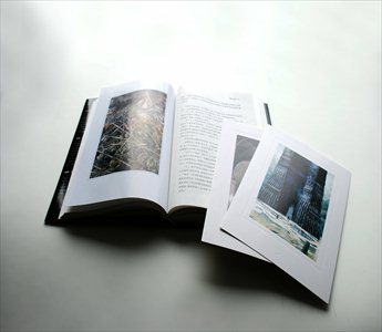 Illustrations in Lucifer Chu's revised edition of The Lord of the Rings Photo: Courtesy of Yilin Press 