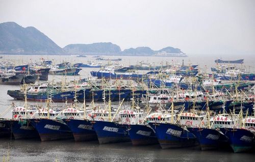 Fishing boats are anchored in Shitang Port, Wenling city, East China's Zhejiang Province, September 15, 2012. According to forecast by the Zhejiang Meteorological Center, typhoon Sanba, the 16th typhoon seen this year, approaches waters of the eastern part of the East China Sea on Saturday. Residents of the country's coastal regions were urged be well-prepared for possible typhoon effects and take precautions against wind, moisture and strong rainfall. Photo: Xinhua
