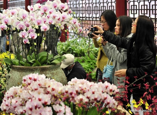 Visitors view flowers at a phalaenopsis exhibition in Taipei, southeast China's Taiwan, Feb. 3, 2013. The eight-day exhibition was opened on Feb. 3 to greet the upcoming Spring Festival, which falls on Feb. 10 this year. (Xinhua/Wu Ching-teng) 