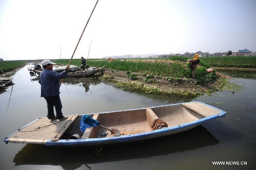 A farmer rows a boat towards his field in Xinghua City, east China's Jiangsu Province, March 10, 2013. As weather warms up, farmers in Xinghua are busy with spring ploughing. (Xinhua/Shen Peng)