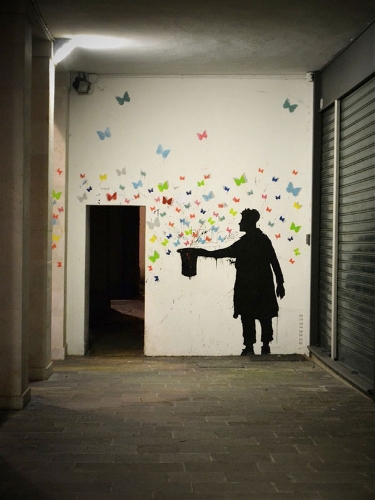  （Source: photo.huanqiu.com）