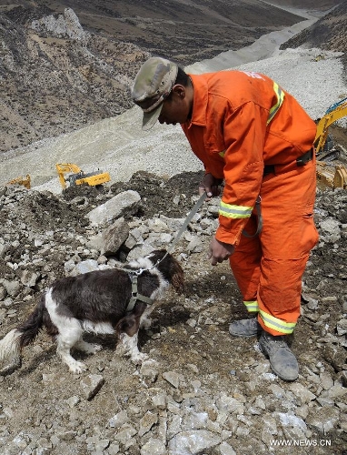 A firefighter and a sniffer dog search for trapped miners at the site where a large-scale landslide hit a mining area in Maizhokunggar County of Lhasa, southwest China's Tibet Autonomous Region, March 30, 2013. Rescuers have found bodies and are still searching for survivors more than 37 hours after a massive landslide buried 83 miners at the polymetal mine in Tibet. (Xinhua/Chogo) (wjq) 