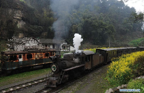 Jiayang mini steam engine train runs in Qianwei County, southwest China's Sichuan Province, March 14, 2012. Built in 1958, Jiayang mini steam engine train with a narrow rail gauge, used to be a coal transportation. Later, added some passengers carriages, it became the major transportation for local villagers living in and around the mountainous Bajiaogou town and Shixi town. As the steam trains disappear in the world, more and more tourists from home and abroad came here to visit the mini steam engine train. Photo: Xinhua