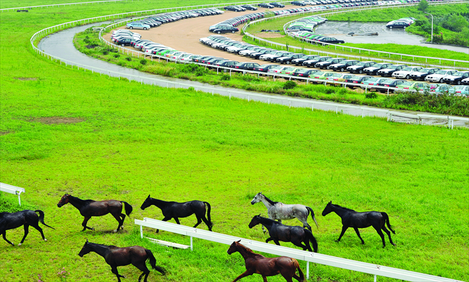 Cars are parked on the track as a few horses rest nearby at the Nanjing International Equestrian Venue onSeptember 3, 2010. Photo: CFP