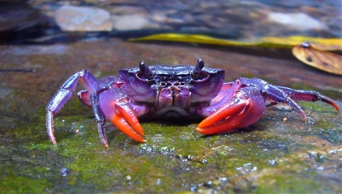 (Photo Source: huanqiu.com)