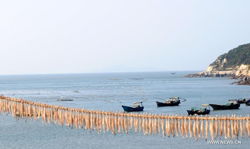 Aquatic products and fishing vessel are seen at a port of the Nanji Island, East China's Zhejiang Province, October 14, 2012. The 7.64-square kilometer Nanji Island, as the largest island of the Nanji Islands, was named for its muntjac shape. The archipelago were listed as China's first level-five marine nature reserve in 1990. Photo: Xinhua