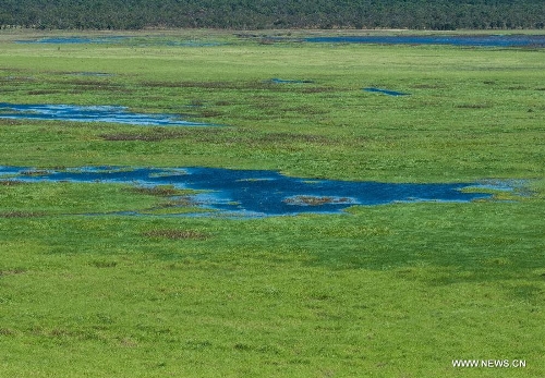 Photo taken on May 24, 2013 shows the floodplain at the Kakadu National Park of Australia. The Kakadu National Park is a protected area in the northern area of Australia. The cultural and natural values of the Kakadu National Park were recognized internationally when the park was inscribed onto the UNESCO World Heritage List. (Xinhua/Qian Jun)