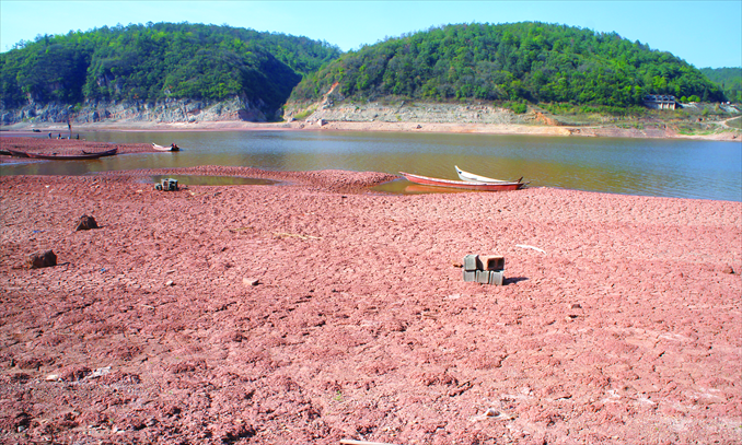 Much of a reservoir has dried up in Yuxi, Yunnan Province, on April 14. Photo: CFP