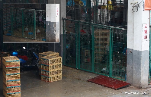 The combined photo taken on April 5, 2013 shows workers encase live poultry at the Sanguantang poultry and egg market (big picture) and parts of the live poultry area have been cleaned at the same market (small picture) in Shanghai, east China. The government of Shanghai Municipality said on Friday sales of live poultry will be suspended in the municipality from April 6 as the H7N9 strain of avian influenza has sickened 14 people and killed six. (Xinhua/Ding Ting)