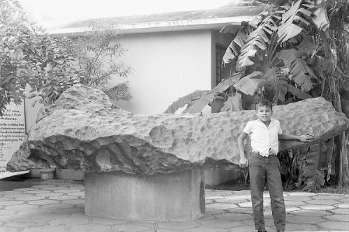 Bacubirito Meteorite with an estimated mass of over&nbsp;22 tons (Mexico, 1863).(Source:gmw.com)
