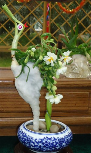 Wu Weiyi's prizewinning Chinese sacred lilies shaped as roosters, vases and cranes. Photo: Chen Xiaoru/GT 