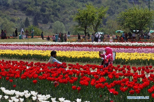  Tourists take photos at a tulip garden in Srinagar, summer capital of Indian-controlled Kashmir, April 13, 2013. The Tulip Garden in Indian-controlled Kashmir, claimed to be Asia's largest, has become the prime attraction for tourists home and abroad. Since April this year, over 75,000 tourists have visited the garden to see tulips, officials said. (Xinhua/Javed Dar) 