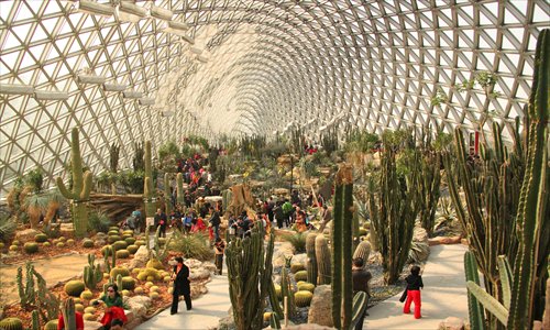 Tropical plants are showcased inside the greenhouse at Shanghai Chenshan Bontanic Garden
Photo: Zhu Jialei/GT
