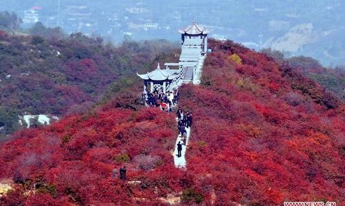 Tourists enjoy autumn red leaves in the Changshou Mountain Scenic Area in Gongyi, Central China's Henan Province, October 23, 2012. Photo: Xinhua